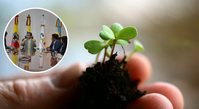 A sembrar se dijo! Cundinamarca tendrá dos nuevas “Áreas de Vida” con 10.000 árboles nativos